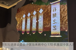 资阳加速建设县级中医治未病中心 170 名基层中医人才学成上岗