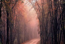 “一口井” 拉动工业增长 5.6 个点 雁江产业双轮驱动显成效