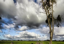 乐至韵达转运中心即将投用 安岳石刻文旅 出圈