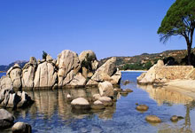 中国牙谷签约 12 个项目 产值突破 40 亿成全国最大口腔产业聚集地